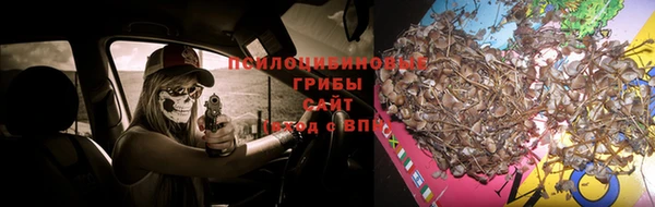 стафф Аркадак