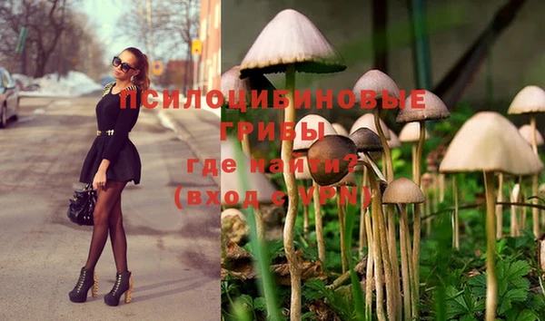 jwh Армянск
