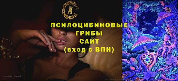 стафф Аркадак