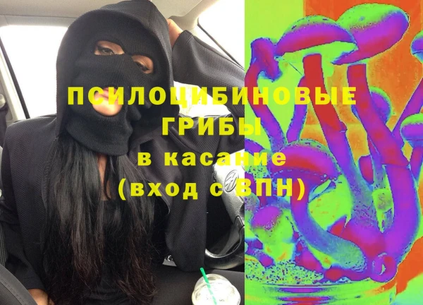 стафф Аркадак
