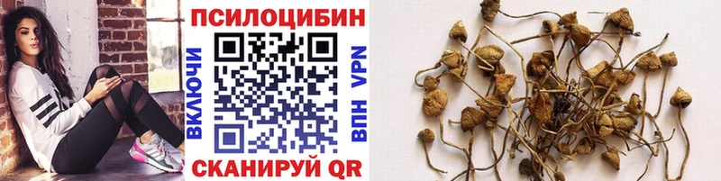 Псилоцибиновые грибы прущие грибы это наркотические препараты Устюжна